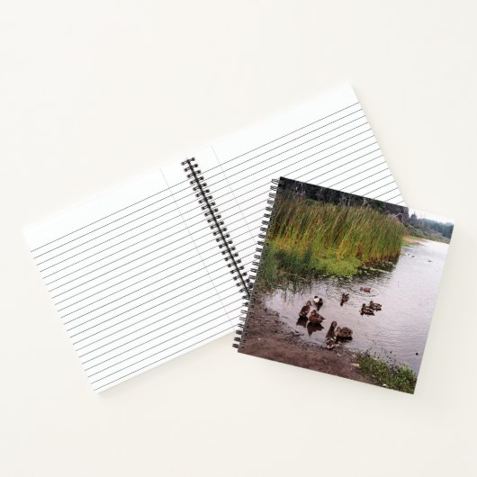 Carnet Au marais.... (Intérieur)