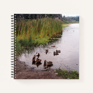 Carnet Au marais....