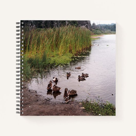 Carnet Au marais.... (Devant)