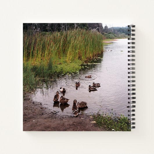 Carnet Au marais.... (Dos)