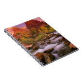 Carnet Aube grande (Côté Droit)