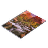 Carnet Aube grande (Côté gauche)