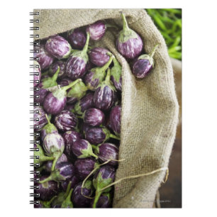 Carnet Aubergine de Kerelan