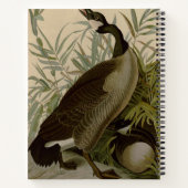 Carnet Audubon Canada Oies Oiseaux sauvages (Dos)