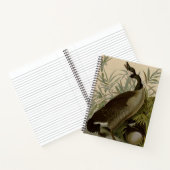 Carnet Audubon Canada Oies Oiseaux sauvages (Intérieur)