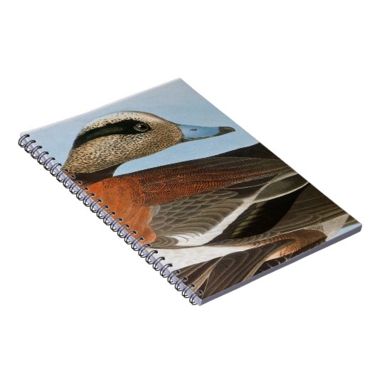 Carnet Audubon : Canard siffleur (Côté Droit)