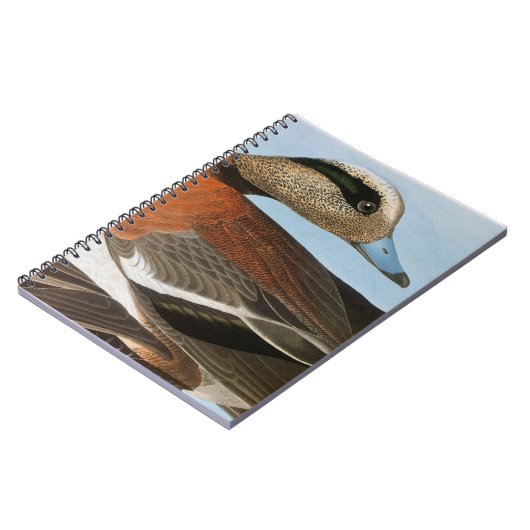 Carnet Audubon : Canard siffleur (Côté gauche)