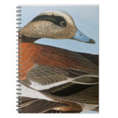 Carnet Audubon : Canard siffleur (Devant)