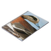 Carnet Audubon : Canard siffleur (Côté gauche)