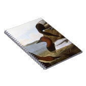 Carnet Audubon : Canvasback (Côté Droit)