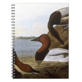 Carnet Audubon : Canvasback (Devant)