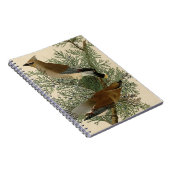 Carnet Audubon Cèdre cire oiseau (Côté Droit)