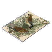 Carnet Audubon Cèdre cire oiseau (Côté gauche)