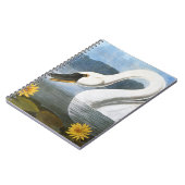 Carnet Audubon : Cygne commun (Côté gauche)