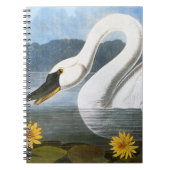 Carnet Audubon : Cygne commun (Devant)