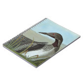 Carnet Audubon : Dingue arctique (Côté gauche)