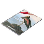 Carnet Audubon : Écarlate IBIS (Côté gauche)