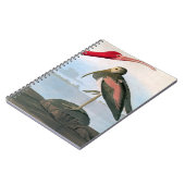 Carnet Audubon : Écarlate IBIS (Côté gauche)