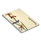 Carnet Audubon : Fauvette (Côté Droit)