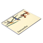 Carnet Audubon : Fauvette (Côté gauche)