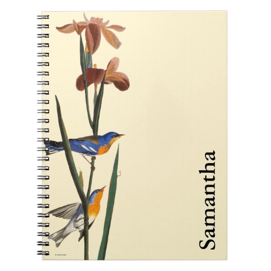 Carnet Audubon : Fauvette (Devant)