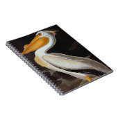 Carnet Audubon : Grand Pélican blanc (Côté Droit)