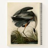 Carnet Audubon Great Blue Heron Marsh Bird (Dos)