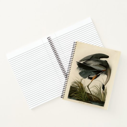 Carnet Audubon Great Blue Heron Marsh Bird (Intérieur)