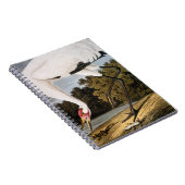 Carnet Audubon : Grue de huée (Côté Droit)