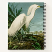 Carnet Audubon Héron de neige Oiseaux d'aigrettes blanche (Dos)