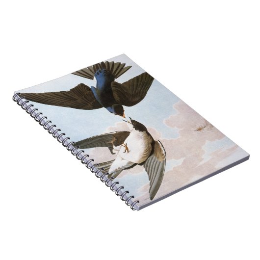 Carnet Audubon : Hirondelle d'arbre (Côté Droit)