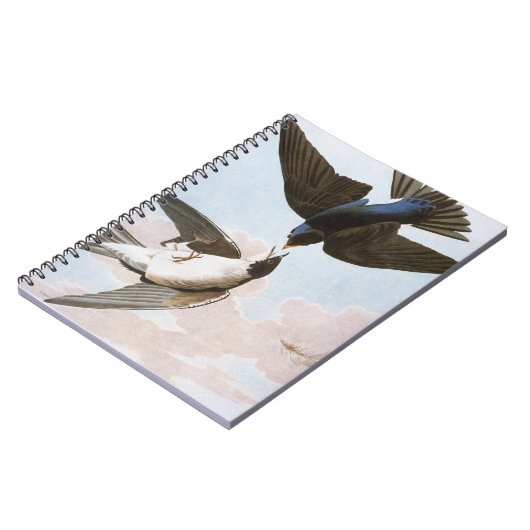 Carnet Audubon : Hirondelle d'arbre (Côté gauche)