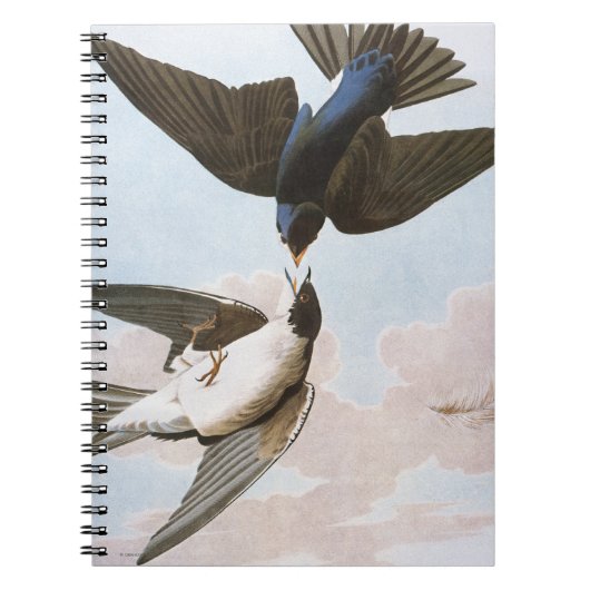 Carnet Audubon : Hirondelle d'arbre (Devant)