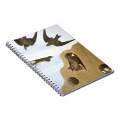 Carnet Audubon : Hirondelles (Côté Droit)