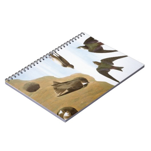 Carnet Audubon : Hirondelles (Côté gauche)