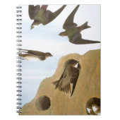 Carnet Audubon : Hirondelles (Devant)