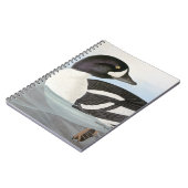 Carnet Audubon : Le Goldeneye de la brouette (Côté gauche)