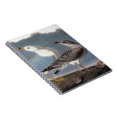 Carnet Audubon : Mouette Anneau-Affichée (Côté Droit)