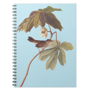 Carnet Audubon Oiseau de Bruant sur Mandrake sauvage