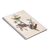 Carnet Audubon Peint Bunting Bird Wildlife (Côté Droit)
