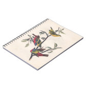 Carnet Audubon Peint Bunting Bird Wildlife (Côté gauche)
