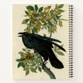 Carnet Audubon Raven Oiseau classique (Dos)