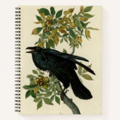 Carnet Audubon Raven Oiseau classique (Devant)