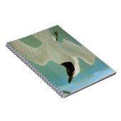 Carnet Audubon : Sterne Mouette-Affichée (Côté Droit)