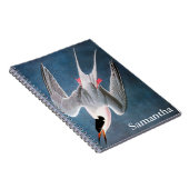 Carnet Audubon : Sterne rose (Côté Droit)