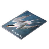 Carnet Audubon : Sterne rose (Côté gauche)