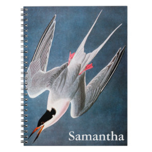 Carnet Audubon : Sterne rose