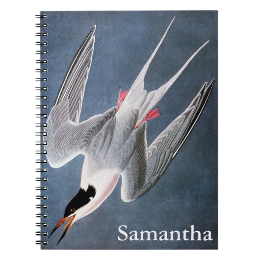 Carnet Audubon : Sterne rose (Devant)