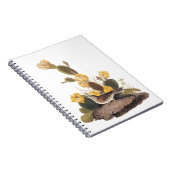 Carnet Audubon Vesper Sparrow et Prickly Pear Cactus (Côté Droit)
