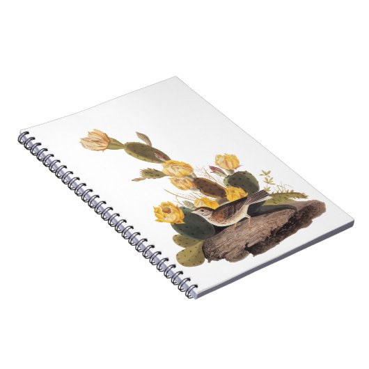 Carnet Audubon Vesper Sparrow et Prickly Pear Cactus (Côté Droit)